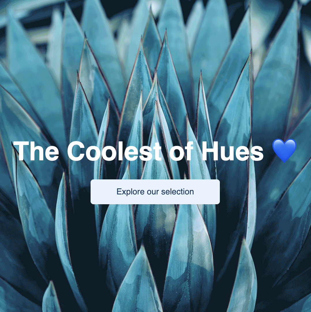 Cool Blue: Never Out of Style, Always in Season | Man – a.li.ás